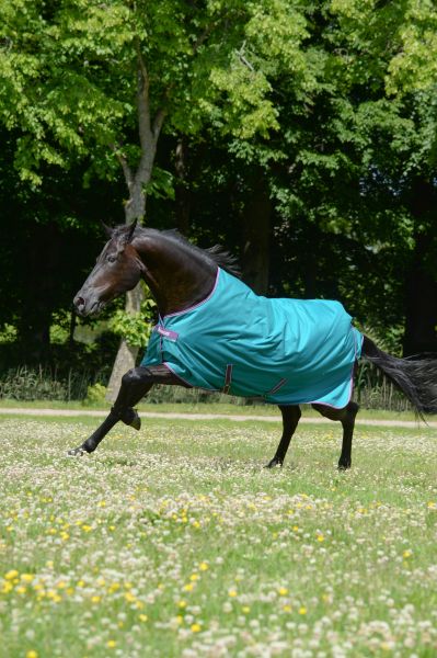 Bucas 2023: Freedom Turnout Light Regendecke, Green/Violet Gr. 110 cm