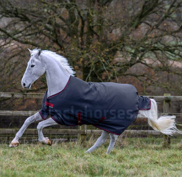 Bucas 2021/2022: Freedom Turnout Light Regendecke, Graphite
