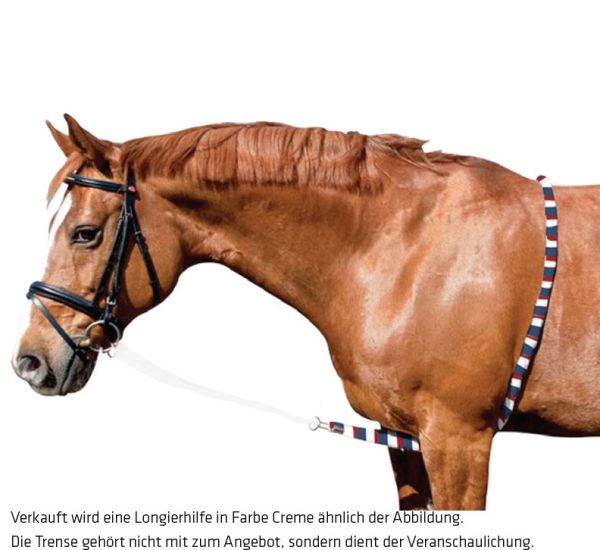 Imperial Riding Longierhilfe Ausbinder, Rose/Bordeaux/Silver