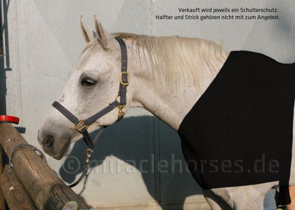 Imperial Riding Schulterschutz Brustschutz für Pferde