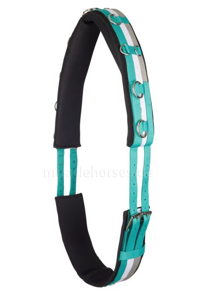Imperial Riding Longiergurt (gestreift) mit Neoprenfutter, Jade