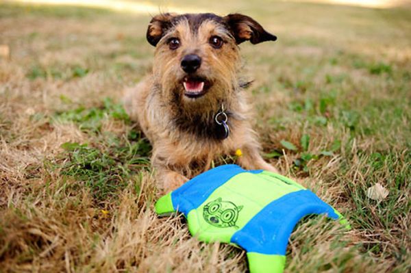 Hundespielzeug Chuckit! Flying Squirrel Frisbee