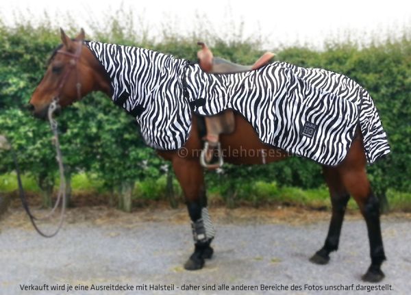 Horse Guard Zebra Fliegen-Ausreitdecke 2-teilig, Gr. L