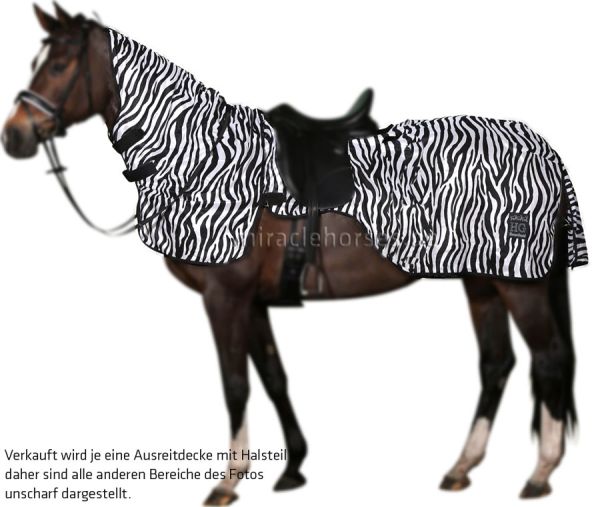 Horse Guard Zebra Fliegen-Ausreitdecke 2-teilig