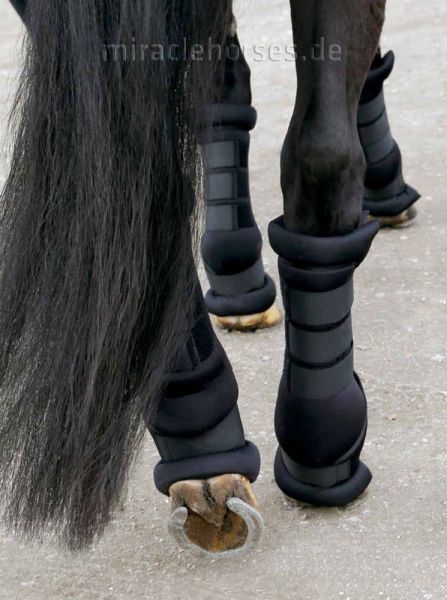 Horse Guard Stallgamaschen (4er Set)