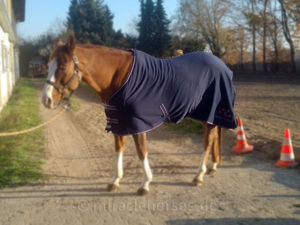 Horse Guard Tansy Jersey Cooler