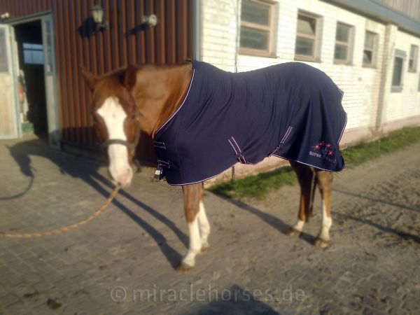 Horse Guard Tansy Jersey Cooler