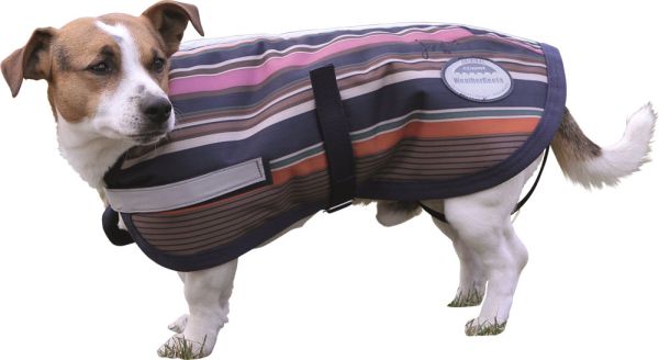 WeatherBeeta Joules® gefütterter Hundemantel Sabrina Stripes