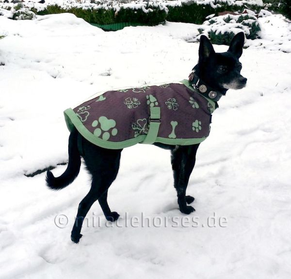 WeatherBeeta Thermo-Hundemantel Top Dog ab Gr. 30 cm