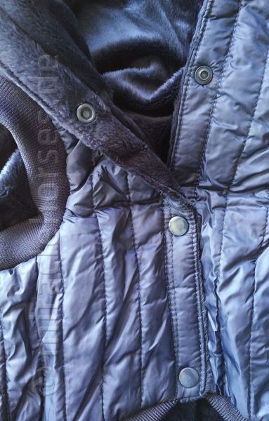 WeatherBeeta Hundemantel Puffer, 50 cm