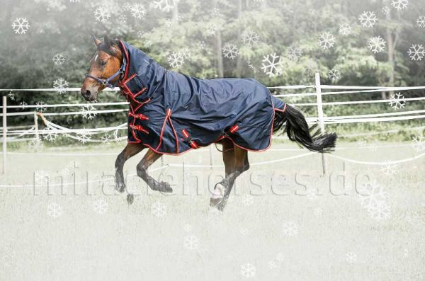 Norton Combo Medium 200g, Regendecke mit Halsteil Gr. 135 cm
