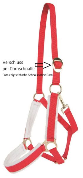 Weihnachtshalfter für Pferde