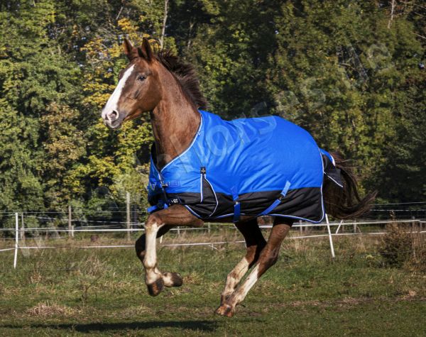 Equi Thème Tyrex Aisance 1200D Standard Regendecke (0g)