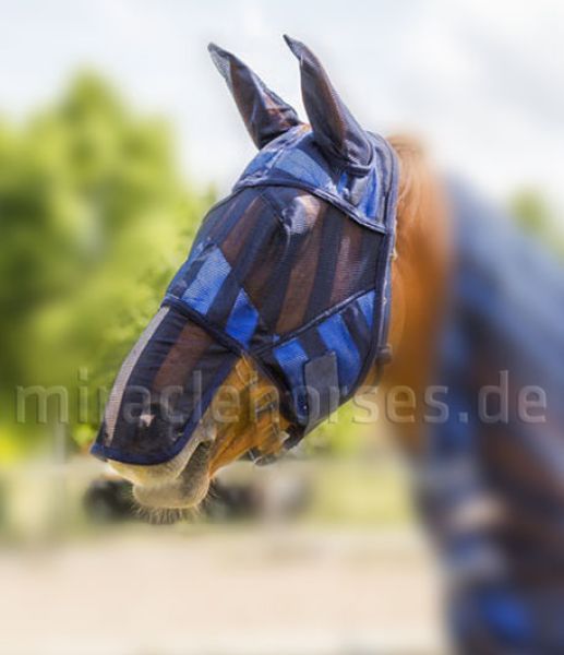 Miracle Horses Reitsportbedarf: Online-Shop rund um Pferdebedarf