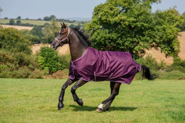 Bucas 2026/2027: Freedom Turnout Light Regendecke, Blackberry & Blueberry