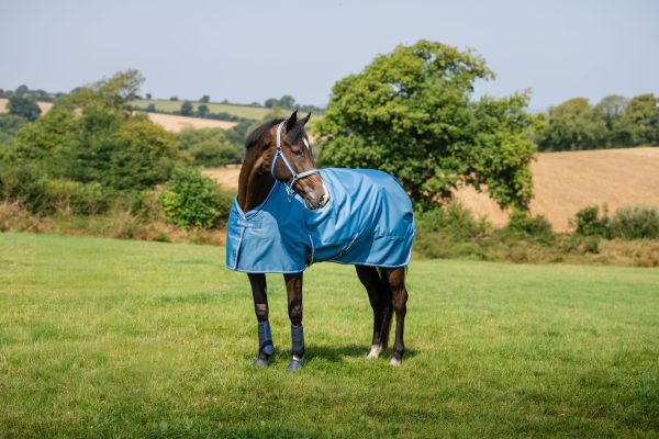 Bucas 2026/2027: Freedom Turnout Light Regendecke, Blackberry & Blueberry