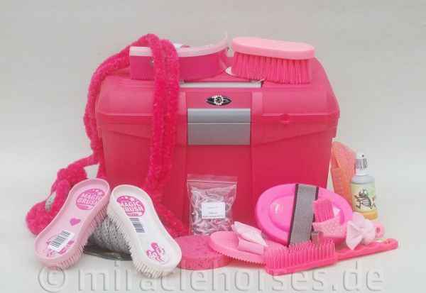 Busse Putzbox Tipico Pink/Rosa mit Putzset (15-teilig)