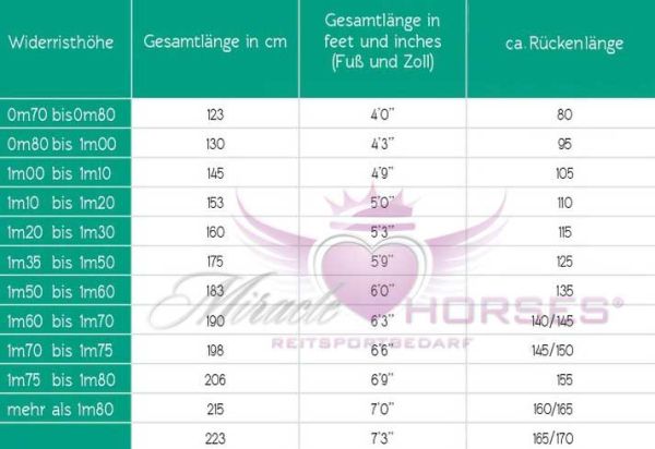 Equi Thème Pro Fliegendecke