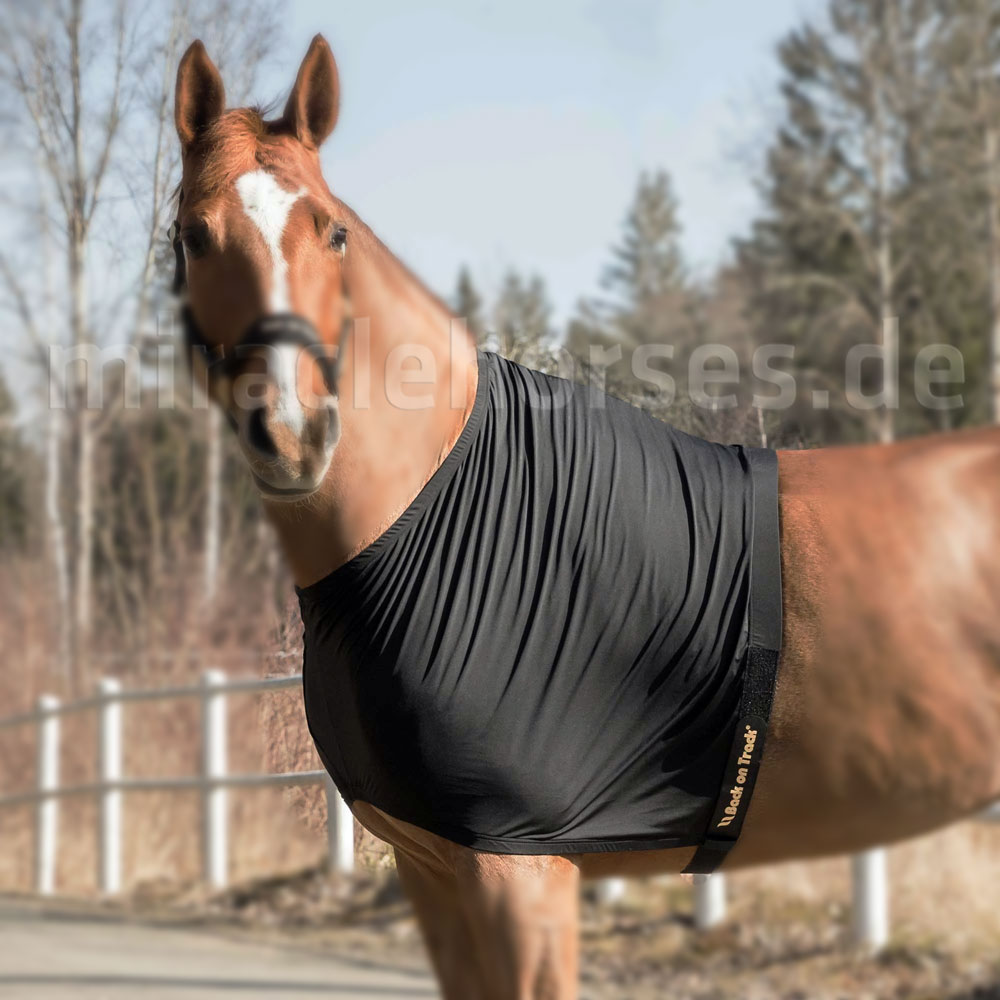 Schulterschutz für Ihr Pferd