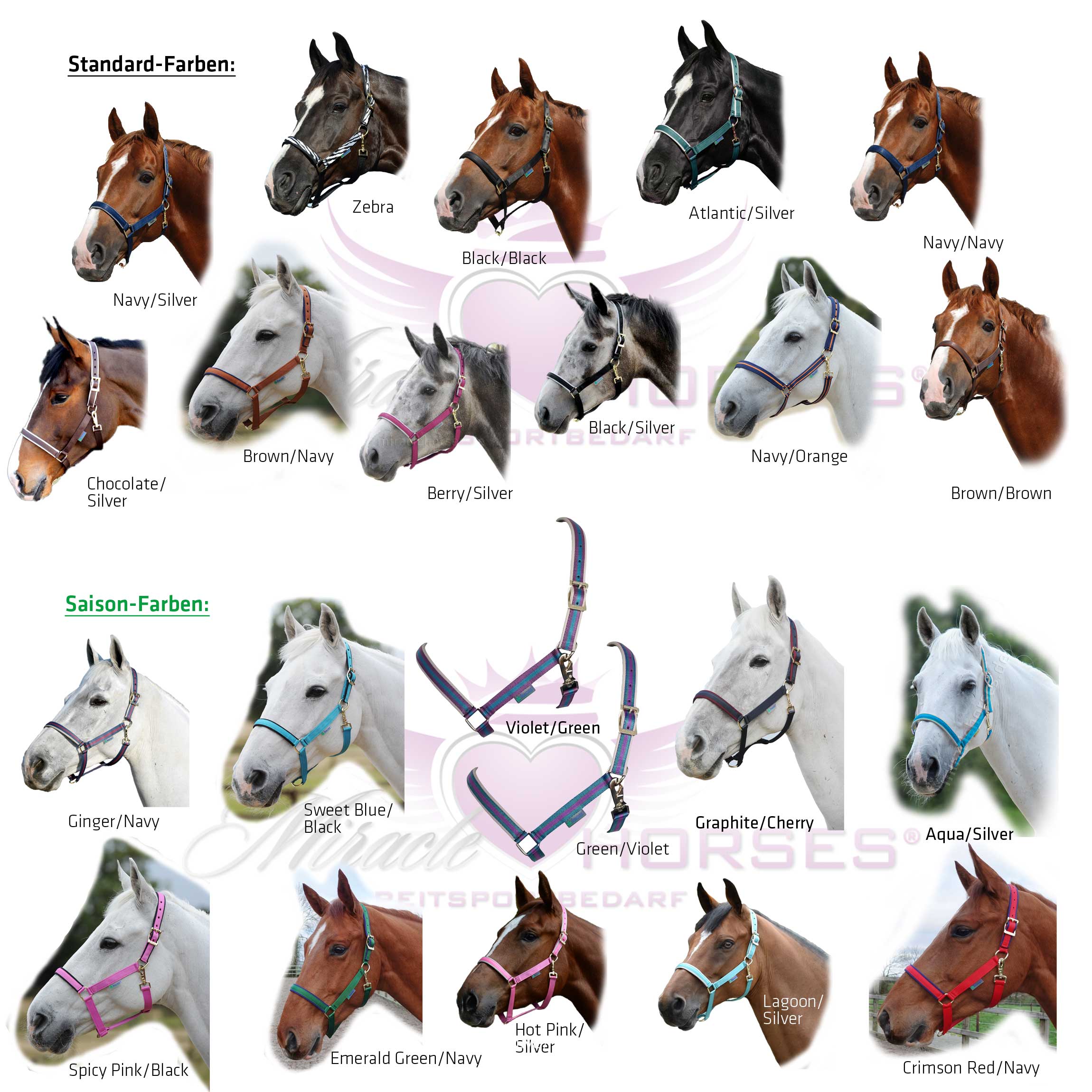 Miracle Horses Reitsportbedarf Online-Shop rund um Pferdebedarf, Reitbekleidung, Stallzubehör, Hundeartikel