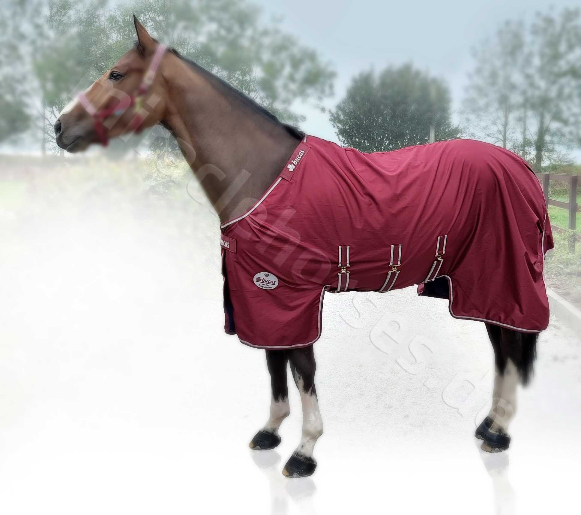 Miracle Horses Reitsportbedarf: Online-Shop rund um Pferdebedarf