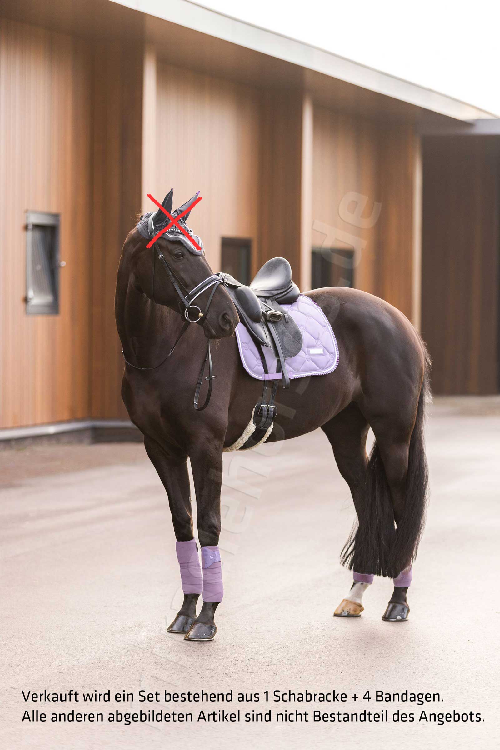 Miracle Horses Reitsportbedarf: Online-Shop rund um Pferdebedarf