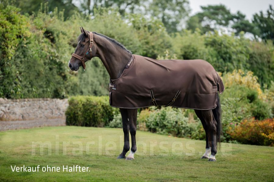 Bucas Irish Turnout Light/50 Regendecke in drei Farben: Navy, Espresso, Black
