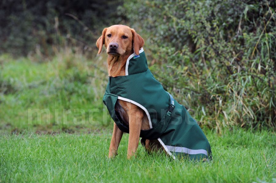 Bucas Greenline wasserdichter Hundemantel mit 50g Fütterung