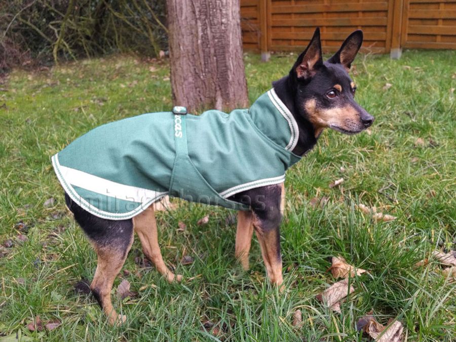 Bucas Freedom wasserdichter Hundemantel