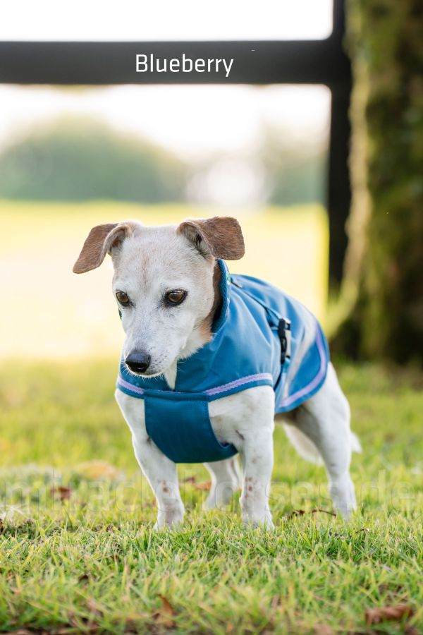 Bucas Freedom wasserdichter Hundemantel