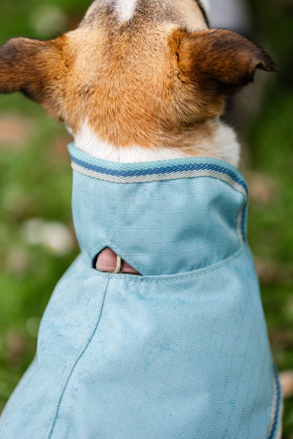 Bucas Freedom wasserdichter Hundemantel