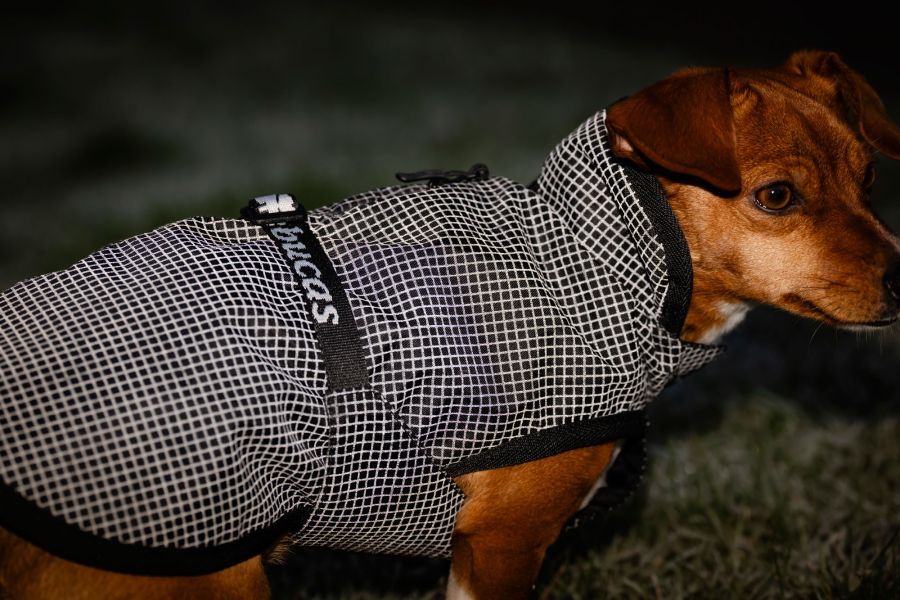 Bucas ReflectGlow Hundemantel, voll reflektierend, wasserdicht & atmungsaktiv