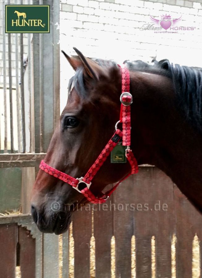 Miracle Horses Reitsportbedarf: Online-Shop rund um Pferdebedarf,  Reitbekleidung, Stallzubehör, Hundeartikel - Sicherheit & Reflektoren