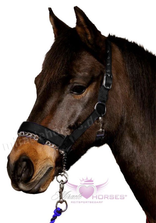 Horse Guard Nylonhalfter mit Kette