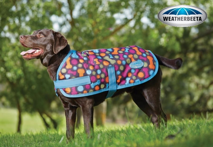 WeatherBeeta Hundemantel Windbreaker, 40 cm