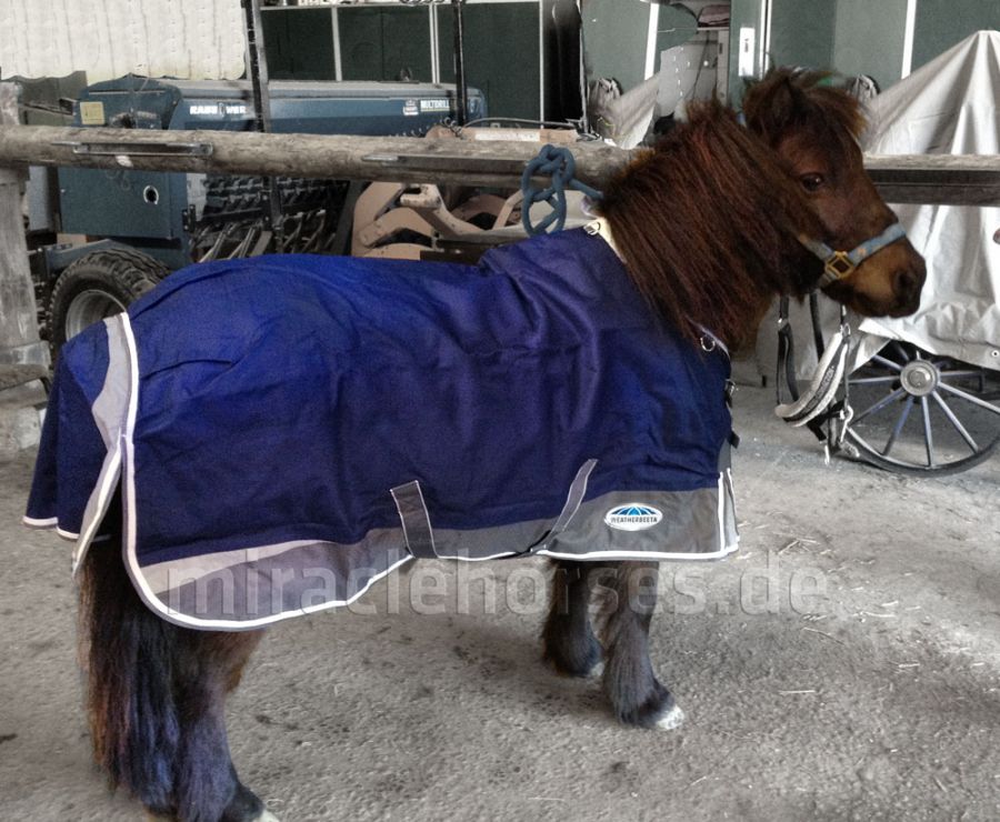 WeatherBeeta Freestyle 1200D Lite Regendecke (Pony)
