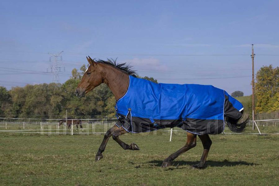 Equi Thème Tyrex Aisance 1200D High Neck Regendecke (0g)