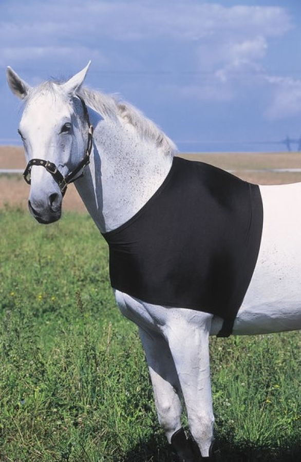 Equi Thème Schulterschutz Brustschutz für Pferde