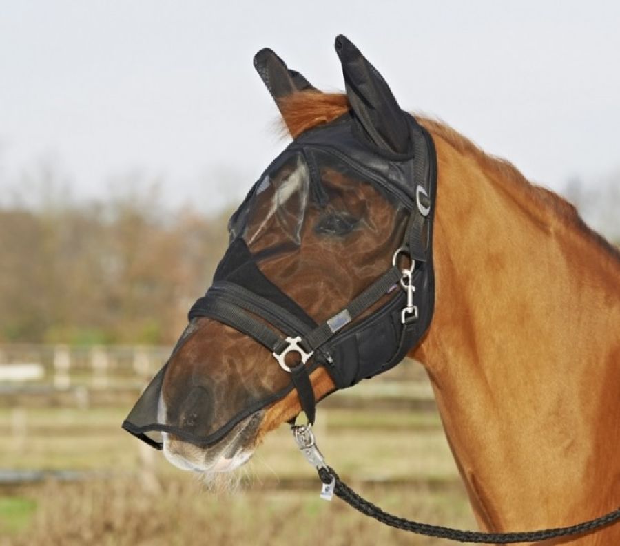 Busse Fliegenmaske Fly Protector mit abnehmb. Nüsternschutz