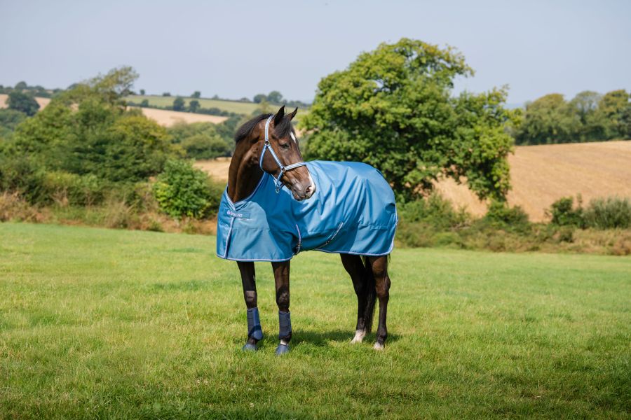 Bucas 2026/2027: Freedom Turnout Light Regendecke, Blackberry & Blueberry