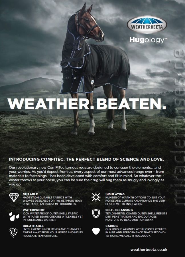 WeatherBeeta ComFiTec Plus Dynamic Detach-A-Neck 220g Medium