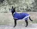 Bucas Recuptex 300 Therapy Dog Rug - regenerierender Hundemantel